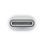 Apple USB C to Lightning Adapter, muqx3zm/a