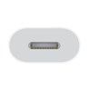 Apple USB C to Lightning Adapter, muqx3zm/a