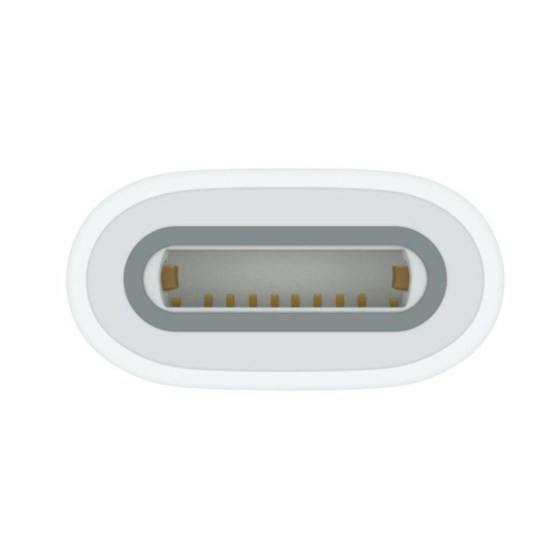 Apple USB-C to Apple Pencil Adapter, mwml3zm/a