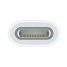Apple USB-C to Apple Pencil Adapter, mwml3zm/a