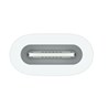 Apple USB-C to Apple Pencil Adapter, mwml3zm/a